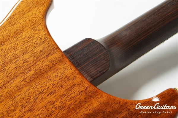 Modern Eagle II 25th Anniversary - Amber【SMO2026】